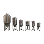 100L single wall fermenter