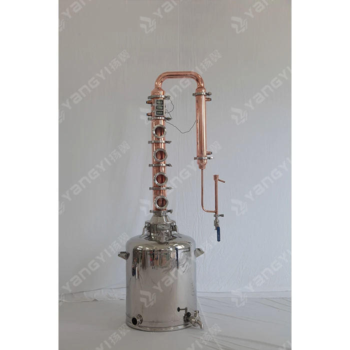 100L boiler with 4inch copper column