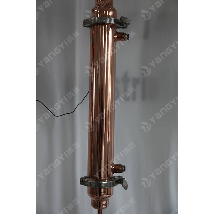 100L boiler with 4inch copper column